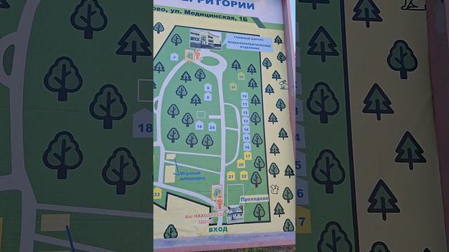 Посвящение в студенты балета смотреть онлайн