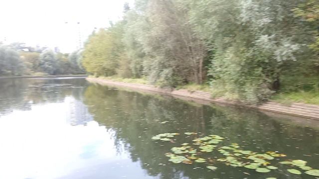 VID_20240911_154311 смотреть онлайн