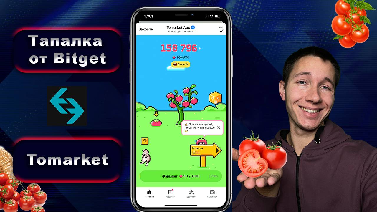 🍅 Tomarket от биржи BitGet раздаст 💰 | Обзор приложения