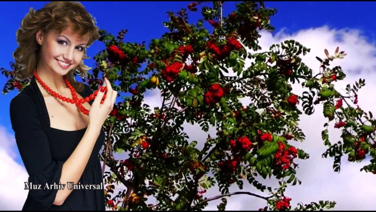 Рябиновый куст Группа Орхидея смотреть онлайн