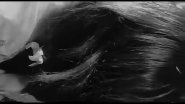 Rashomon   Akira Kurosawa  Toshiro Mifune 1950