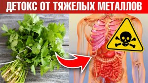 Тяжелые металлы в организме 👉 безопасный детокс