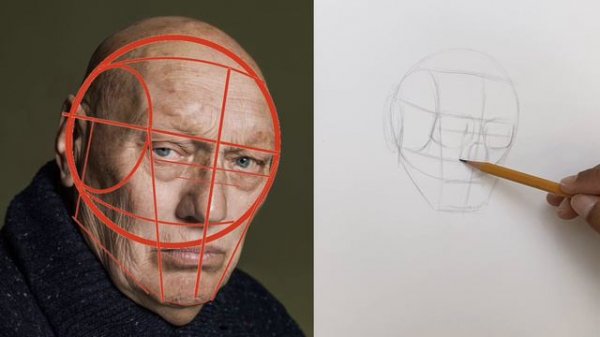 Узнайте самый простой способ нарисовать портрет с помощью Loomis.