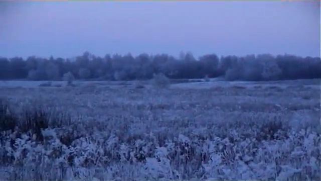 Охота 1 серия смотреть онлайн