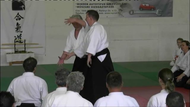 Ямада Ёсимицу. Семинар айкидо. Будапешт, 2013 (ч 2)