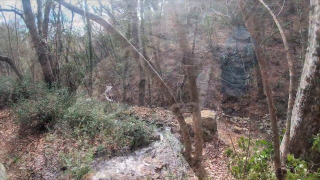 Прогулка по южному берегу Крыма. смотреть онлайн