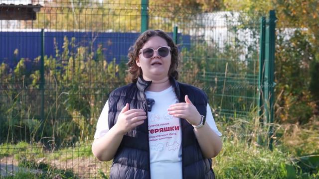 КАК ПОМОЧЬ ЖИВОТНЫМ