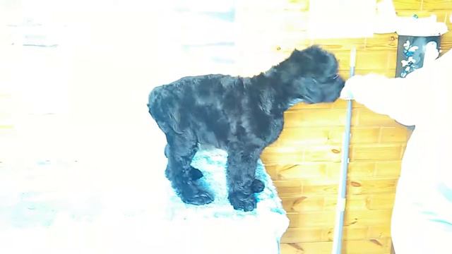 VID 20180623 163724к смотреть онлайн