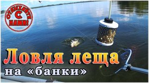 Лещ на банки. Впервые пробую новую снасть. Рыбалка на Волге.
