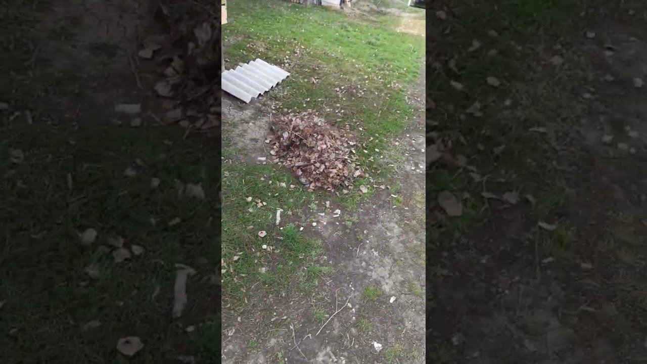 отдых в деревне начинается с самой ранней весны