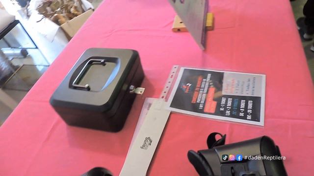 Primera Expoterraria 2023 ✨ Impresiones e Imágenes del evento 🐚🦎🐸🐢 | daden Reptilera смотреть онлайн