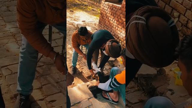 Hit and Run || Fractured Leg || Stray Salvagers || Like Comment Share || #operation #rescue #animal смотреть онлайн