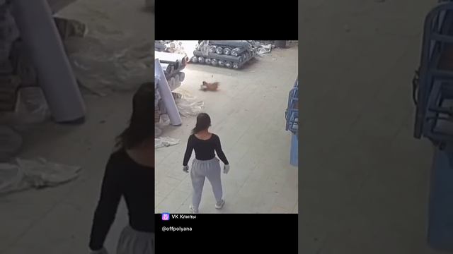 мортал комбат