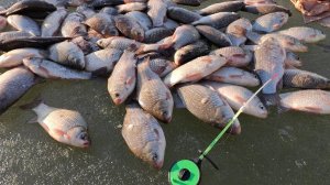 Пулемётный ЖОР КАРАСЯ  и ещё 6 ВИДОВ РЫБЫ!! Зимняя рыбалка по последнему льду