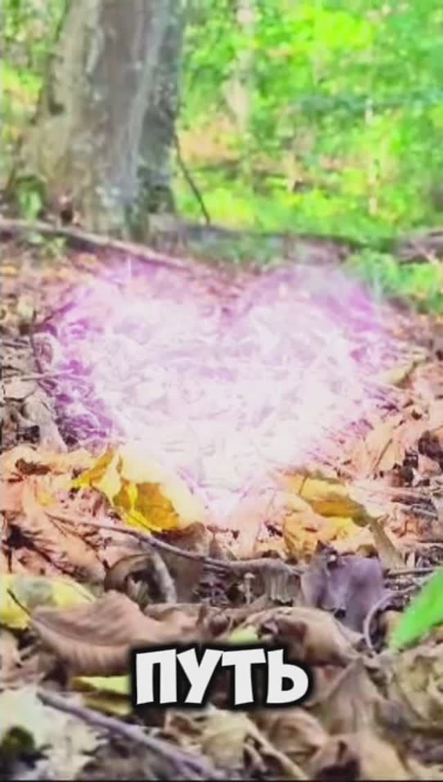 Приглашаю тебя в твою лучшую жизнь! Приходи на эфиры в Телеграм. Ссылка в профиле.