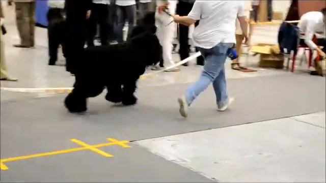 Генрих Челябинск цациб 2 смотреть онлайн