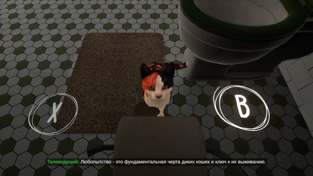 КОГДА Я СТАНУ КОШКОЙ / Copycat / Серия #1 / Релизная версия / Прохождение на русском смотреть онлайн