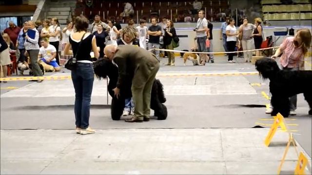 Генрих Челябинск цациб смотреть онлайн