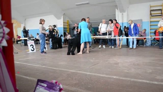 DSC 1153 смотреть онлайн