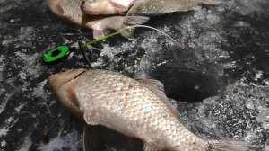 Тонкие поклевки ТОЛСТЫХ КАРАСЕЙ - ЛЕСКА НА ПРЕДЕЛЕ!! ЗИМНЯЯ РЫБАЛКА НА ПОПЛАВОК, КИВОК, МОРМЫШКИ