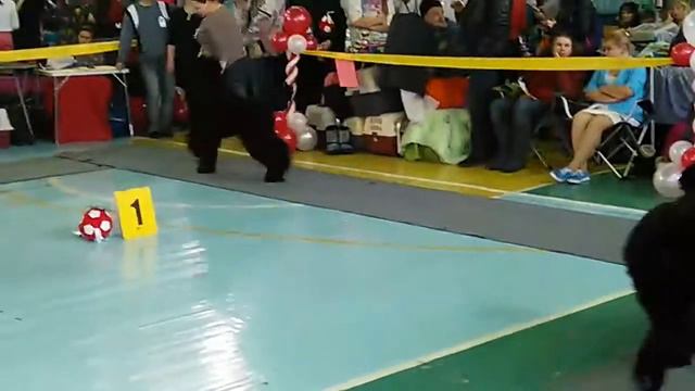 VID 20160116 140458 смотреть онлайн