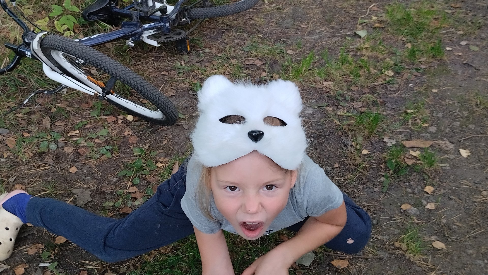 пока квадробике