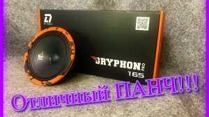 Обзор эстрадного динамика DL Audio Gryphon Pro 165