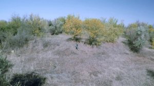 [Игра на выживание #7] Вспомнить всё (по мотивам DAYZ)