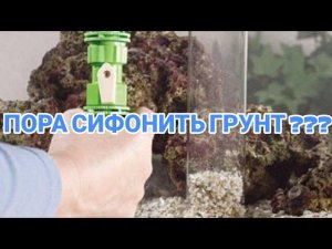 КАК ЧАСТО СИФОНИТЬ ГРУНТ В АКВАРИУМЕ ???