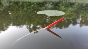 Караси ВЫКЛАДЫВАЮТ ПОПЛАВКИ!! Рыбалка на реке, природа шепчет