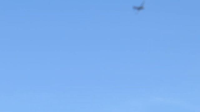 John Morgan SB2C Helldiver maiden смотреть онлайн