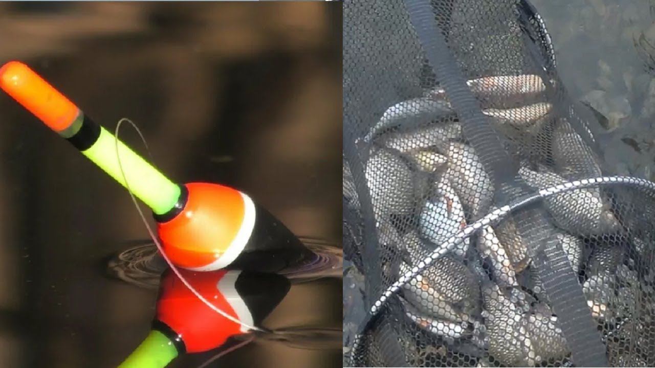 Бешеный ЖОР на ПОПЛАВОК - РАЗДАЧА Карася, Сазан и Судаки Бонусы, рыбалка на удочку и донку смотреть онлайн