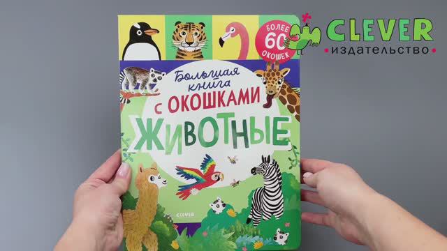 Книжка с окошками. Большая книга с окошками. Животные смотреть онлайн
