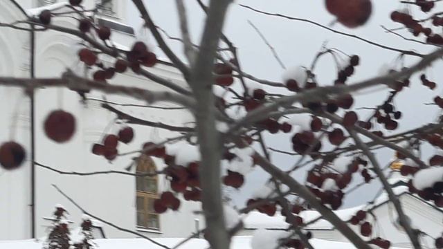 Анонс! смотреть онлайн