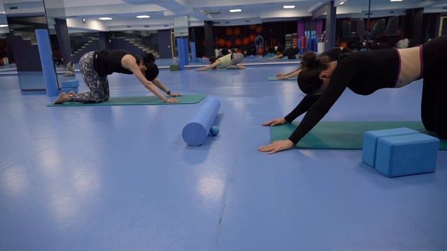 Визитка клуба: Fresh Fitness 