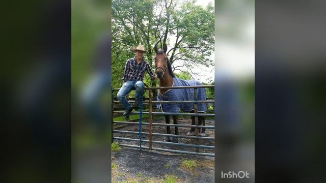 SI NOS DEJAN -JOSE ALFREDO JIMENEZ- (Alvi Ramirez COVER ) смотреть онлайн