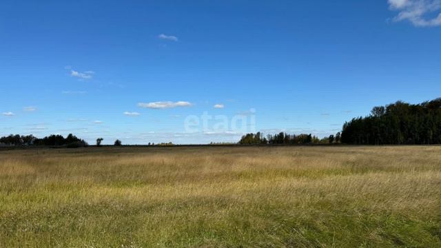 11500356 смотреть онлайн