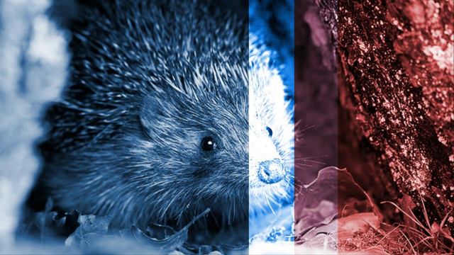 Очень красивая песня смотреть онлайн