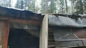 С друзьями на рыбалку! Красноярское водохранилище.