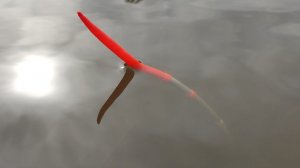 Рыбалка НА ПОПЛАВОК - КАРАСИ выкладывают и тянут в кусты.  Весна