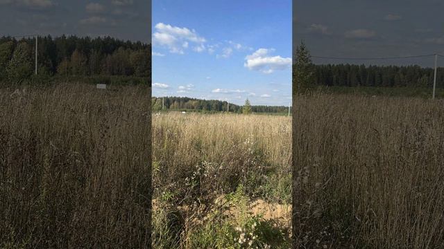 26-09-2024 смотреть онлайн