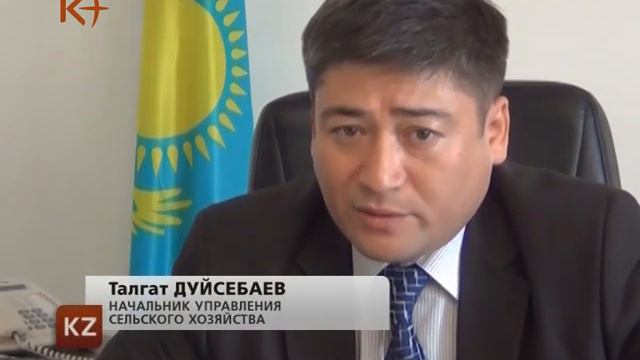 Казахстан. Новости 27 марта 2013 / kplus смотреть онлайн