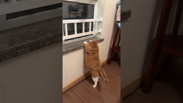 Случилось ЧП смотреть онлайн