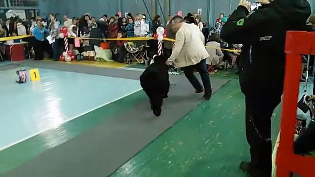 VID 20160116 142639 смотреть онлайн