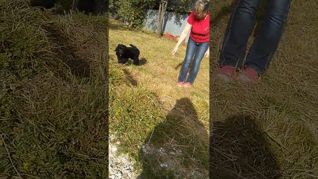 VID 20180906 163913 смотреть онлайн