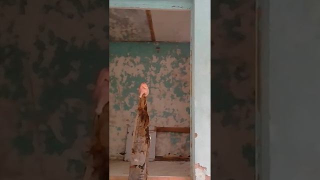 курица в обороне смотреть онлайн