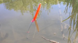 Ловля КРУПНОГО КАРАСЯ - топит ПОПЛАВОК, УТАСКИВАЕТ удочки, Рыбалка на реке