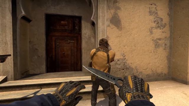 Skeleton Knife | Night Stripe Battle Scarred (SHOWCASE + ALL ANIMATIONS)