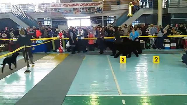 VID 20160116 143059 смотреть онлайн