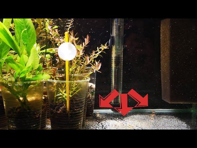 НОВОЕ ВИДЕО ИЗ МАЛЯВОЧНИКА. МАЛЬКИ КОРИДОРАСА ПОШЛИ В РОСТ. смотреть онлайн